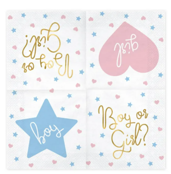 Preview: Servietten - Boy or Girl - 33cm x 33cm